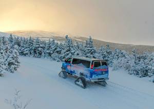 seasonal_4.jpg seasonal_4.jpg